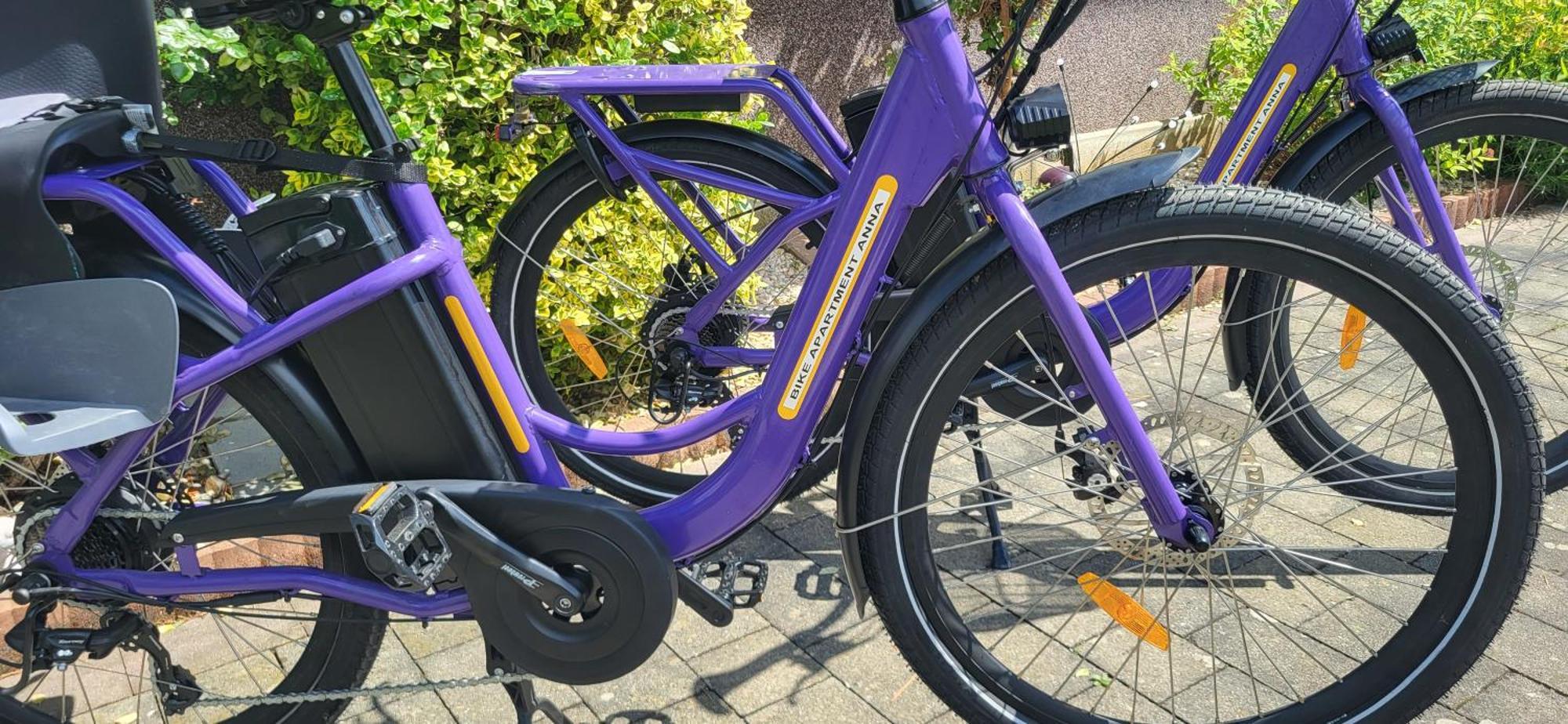 Zwei Schlafzimmer Ferienapartment Anna Am Stubenbergsee Inklusive Vier E-Bikes Esterno foto