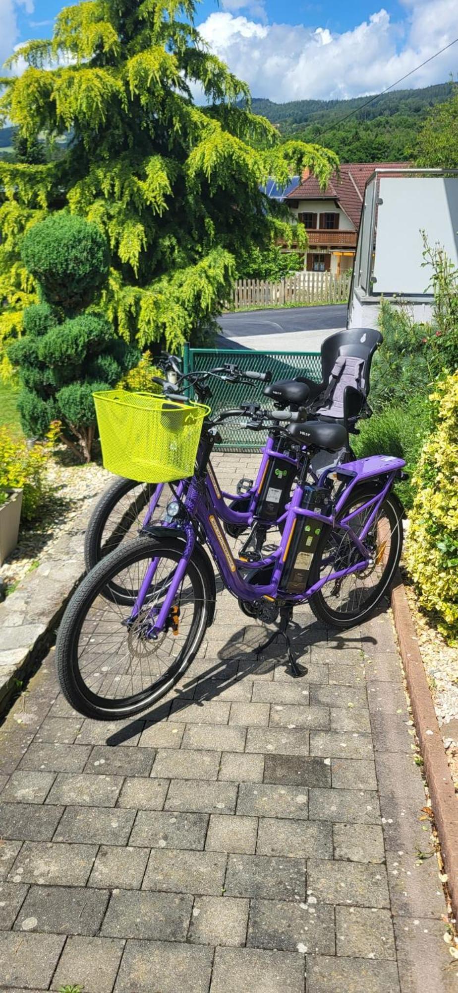 Zwei Schlafzimmer Ferienapartment Anna Am Stubenbergsee Inklusive Vier E-Bikes Esterno foto